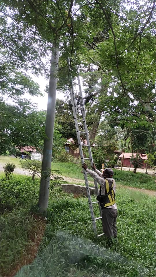 OVERHEAD CABLE 144 CORE